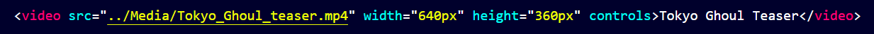 video tag example